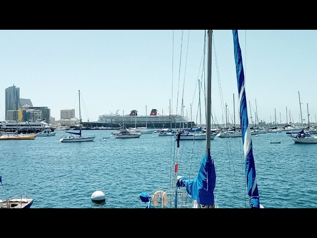 Day 46 – Harbor life in San Diego